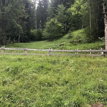Haus Steinberg Апартаменты