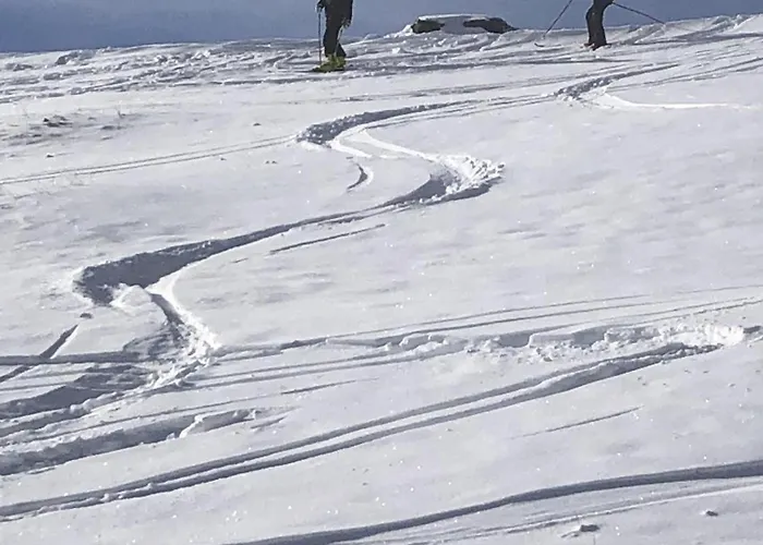 Apartment Haus Steinberg