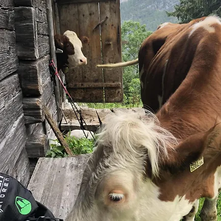 公寓 Haus Steinberg