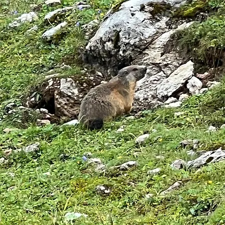 公寓 Haus Steinberg 瓦德林