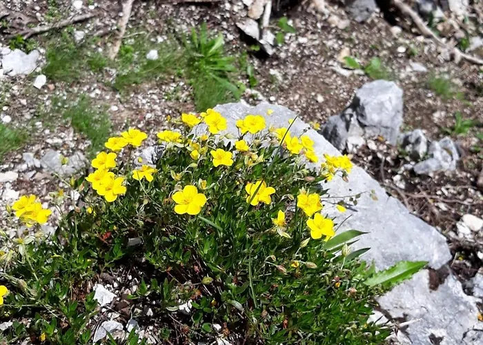 Haus Steinberg Waidring