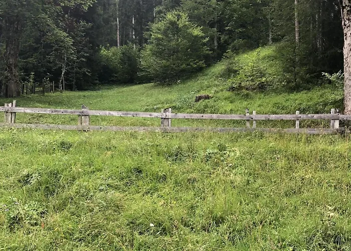 Haus Steinberg Appartamento